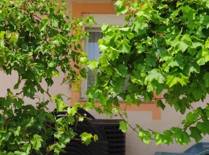 Apartament Dream Vacation